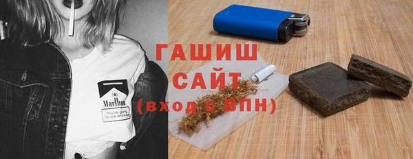 сатива Архангельск