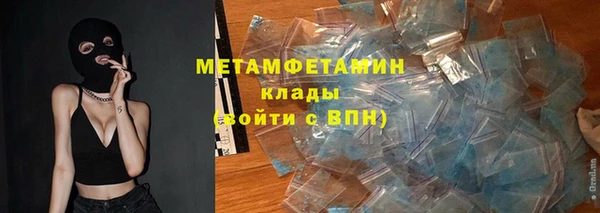 прущие грибы Нефтекумск