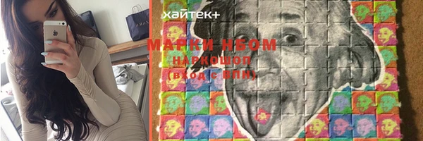 прущие грибы Нефтекумск