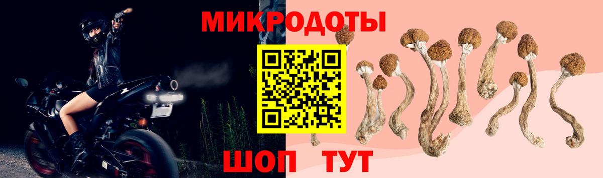 Псилоцибиновые грибы Cubensis  Вход с VPN  Псков 